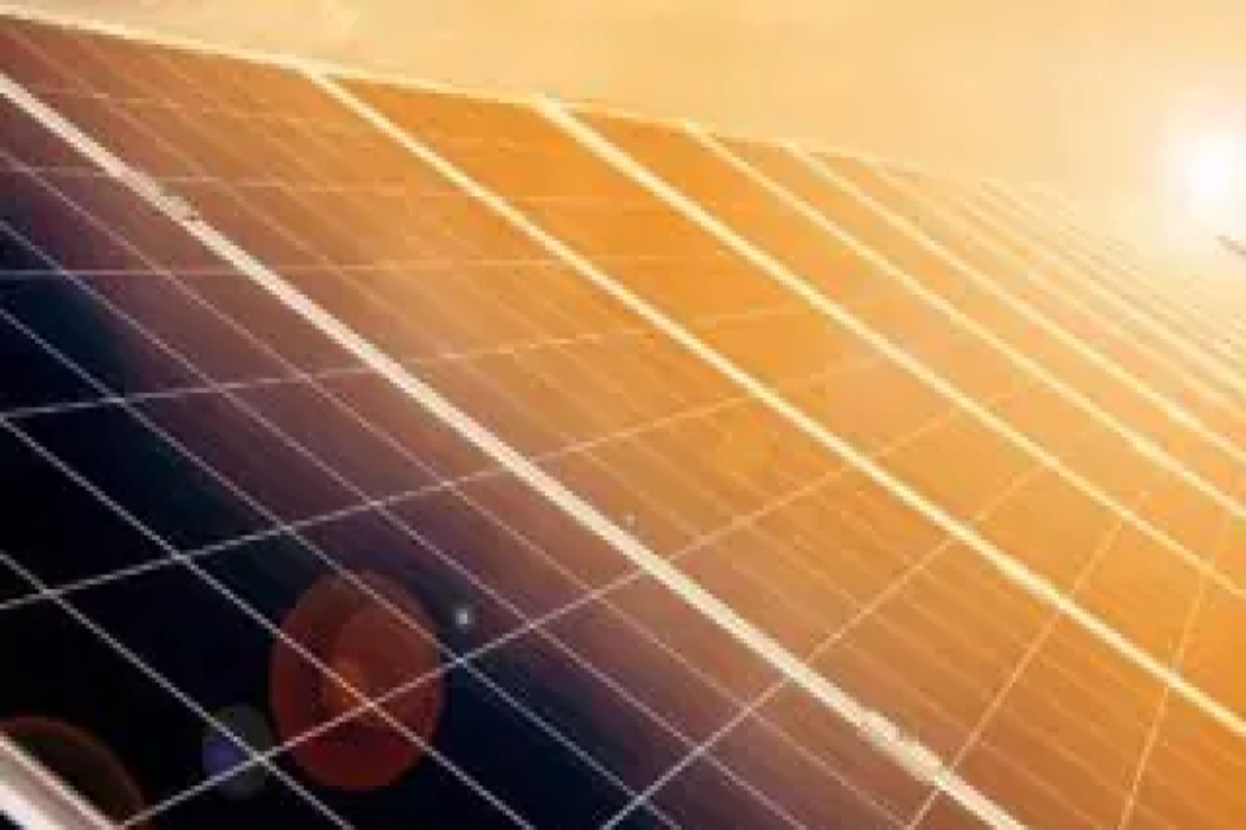Sunlight falling across a bank of solar panels