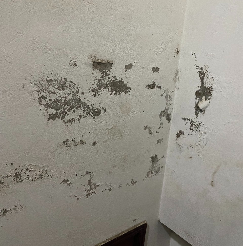 Sơn tường bị phồng rộp, bong tróc: Đừng vội sơn đè lên lớp cũ - Ảnh 1.