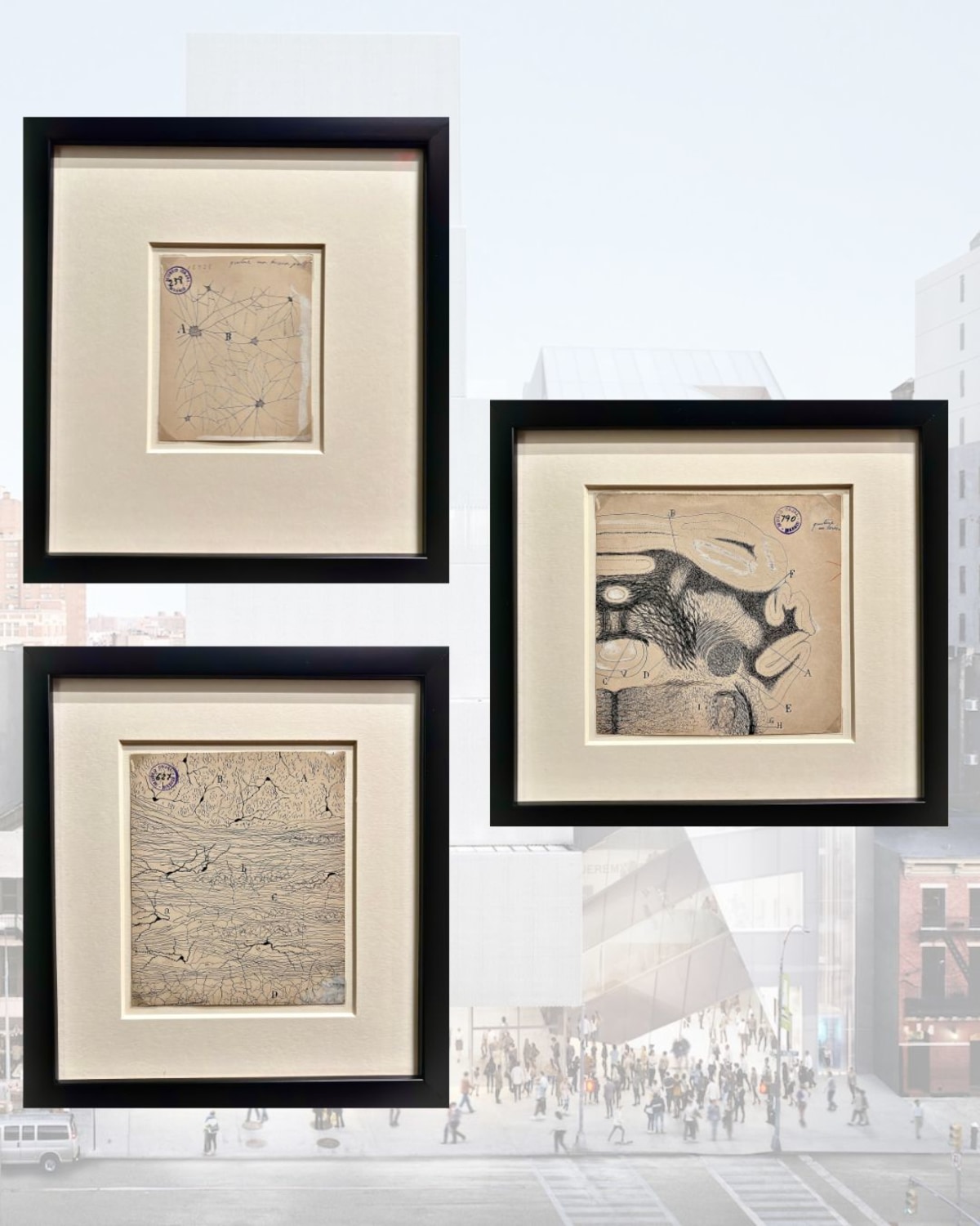 El Legado Cajal en la exposición New Humans del New Museum