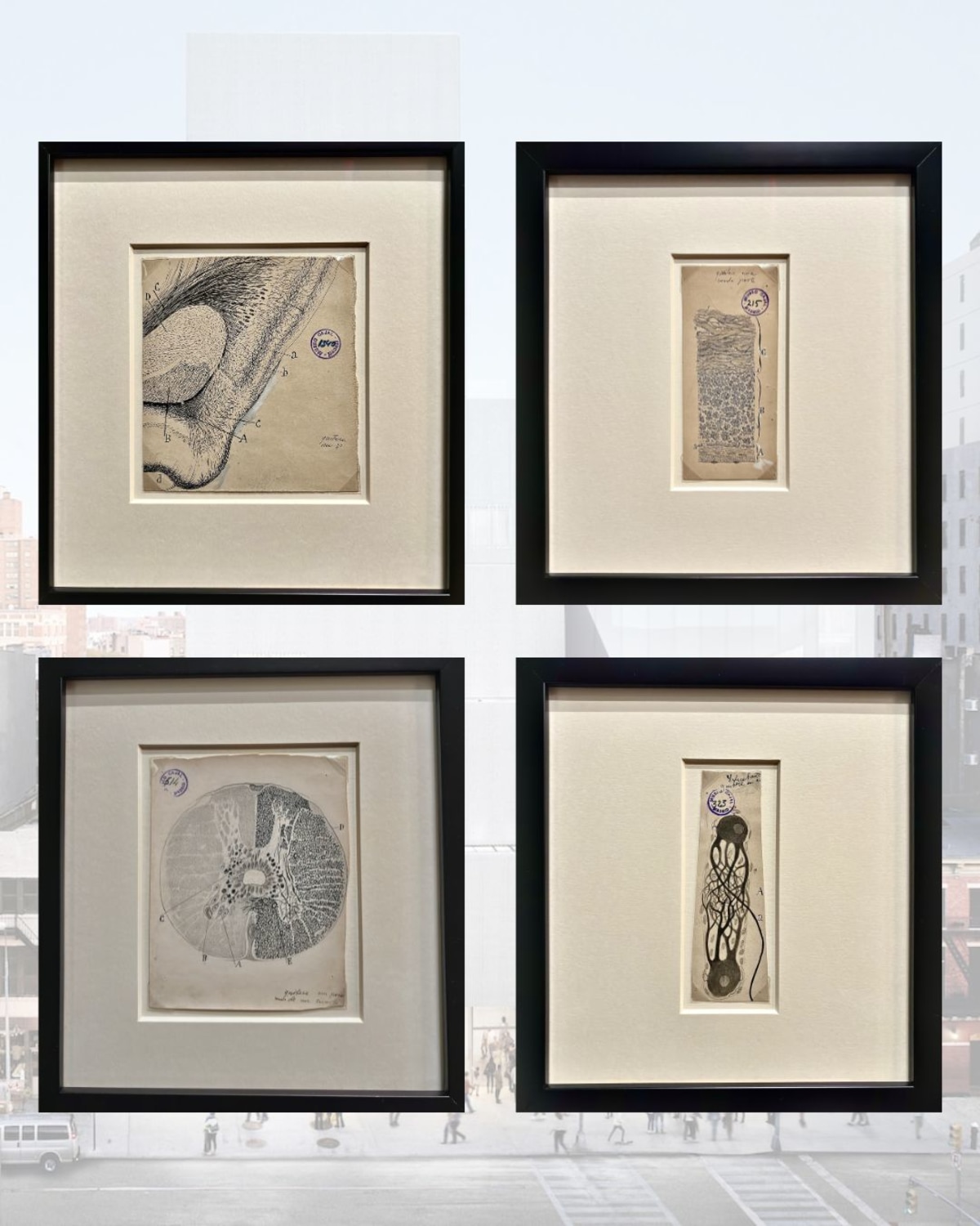 Vista de la exposición New Humans en el New Museum de Nueva York