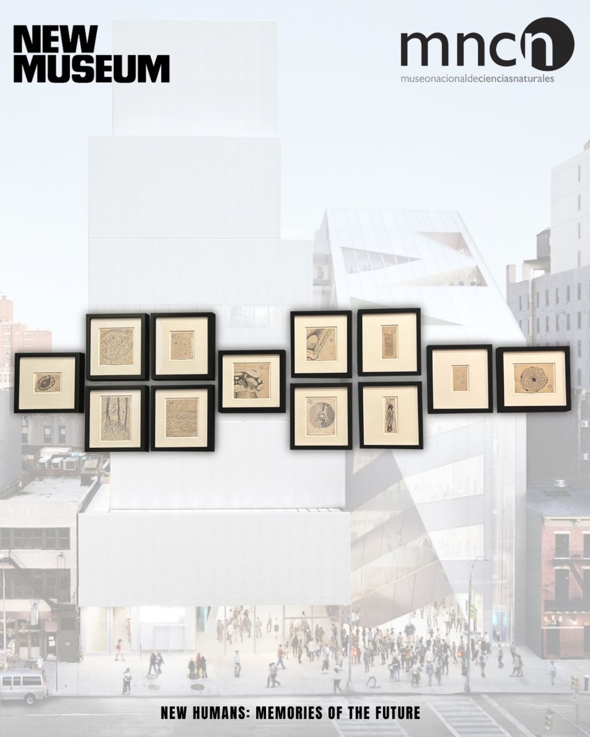 Detalle de los dibujos de Cajal en el contexto de la exposición New Humans