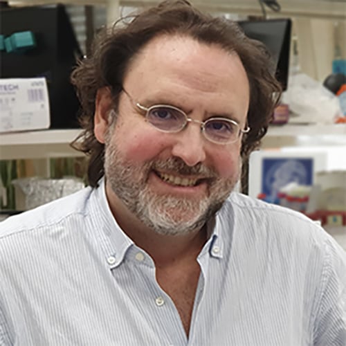 Fernando de Castro Soubriet - Instituto Cajal-CSIC. Madrid