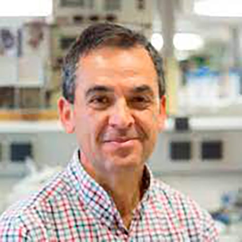 Isidro Sánchez García