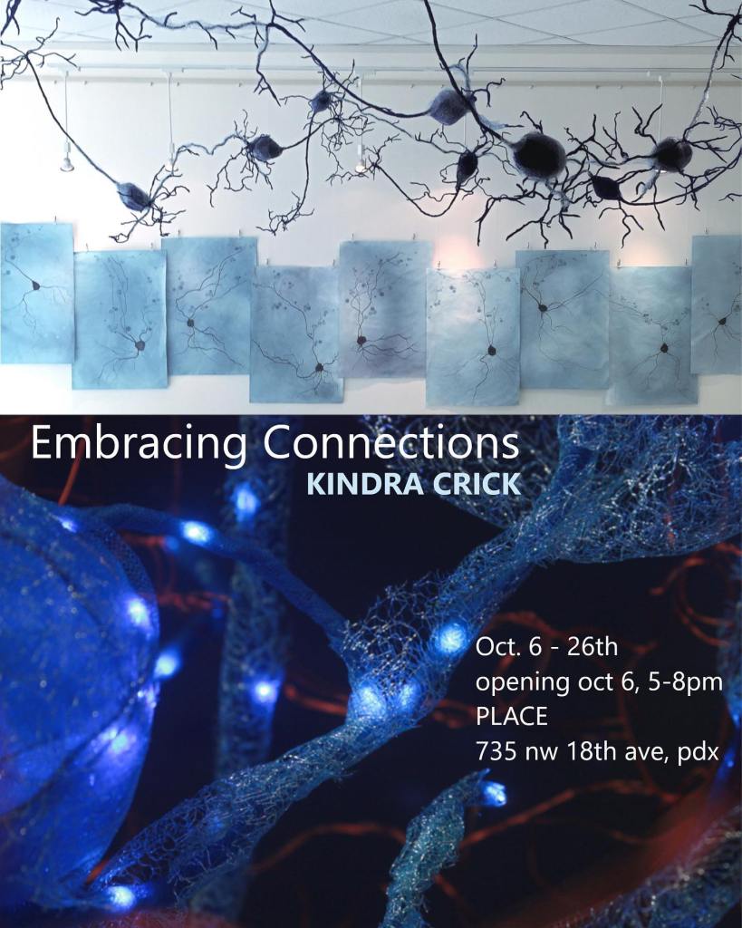 Memoria: El desierto iluminado de Kindra Crick