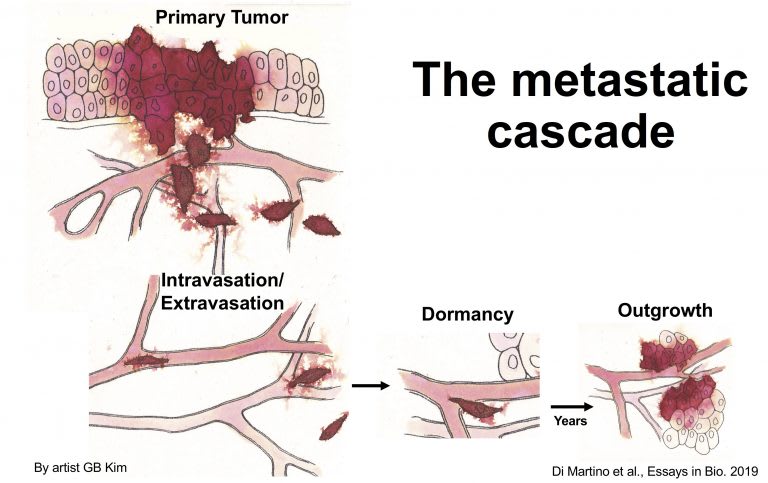 Rafael Yuste, “El cerebro, el teatro del mundo”