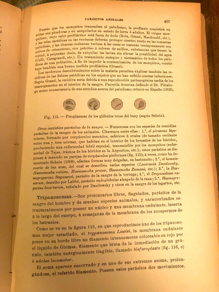 Manual de Anatomía Patológica General y Fundamentos de Bacteriología