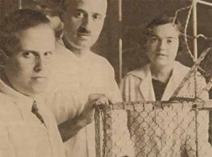 Soledad Ruiz-Capillas