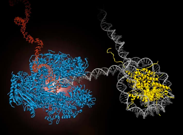 Cajal, el Dr. Carlos J. Bustamante, el Instituto Médico Howard Hughes y Salamanca