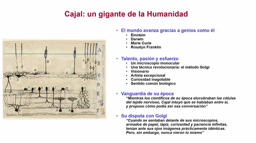 Las semillas de Cajal
