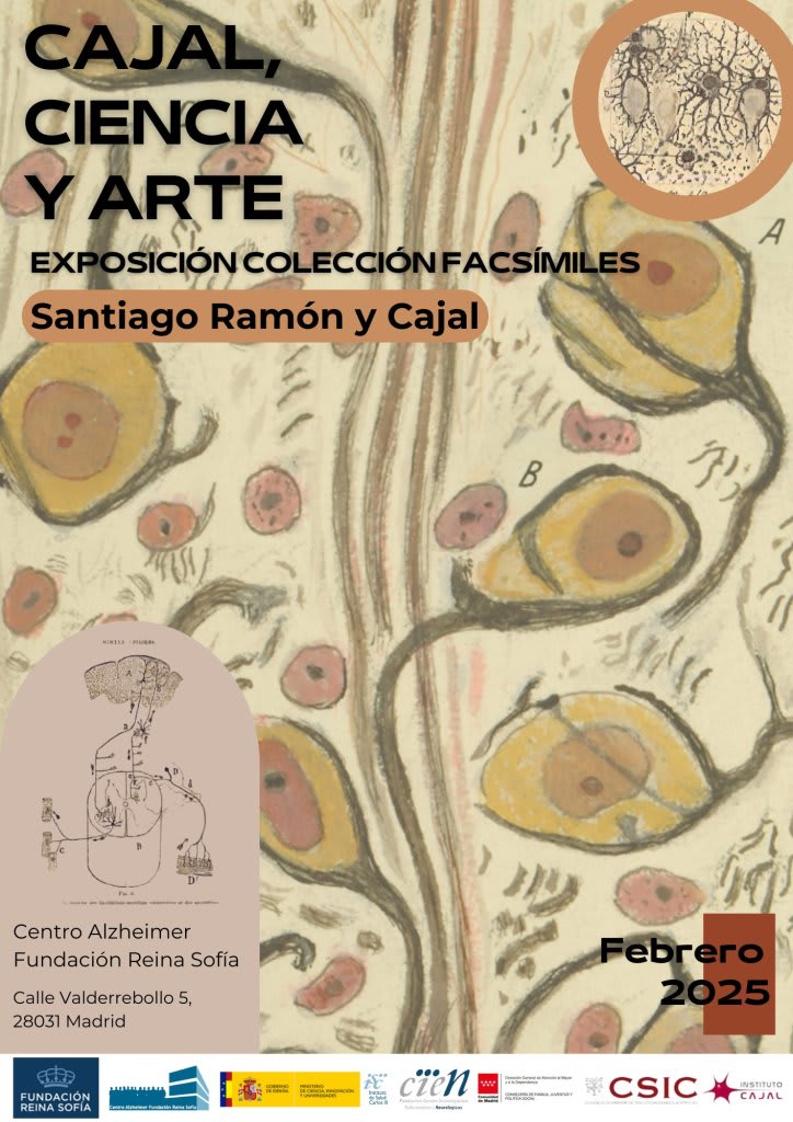Exposición Cajal, Ciencia y Arte: Un recorrido por la obra del padre de la neurociencia