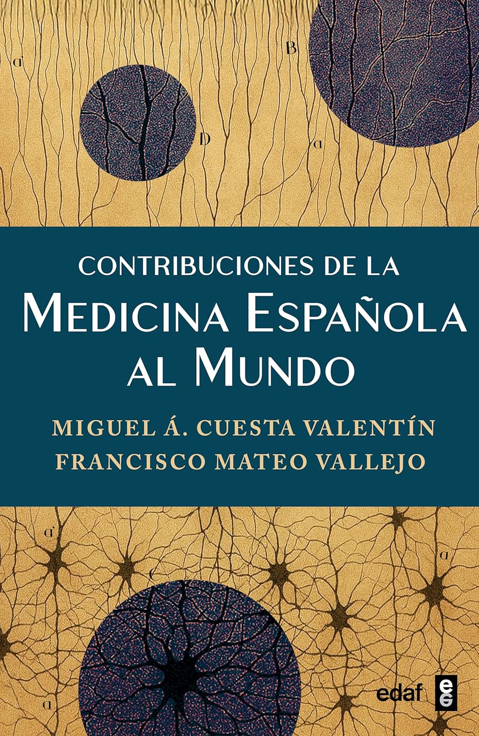 La Medicina Española: Un Legado de Honor