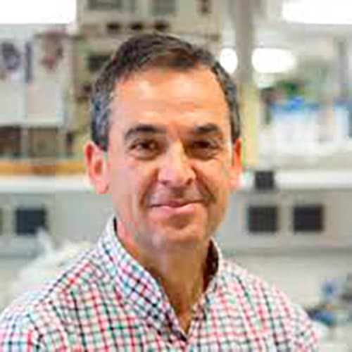 Isidro Sánchez-García - Centro de Investigación del Cáncer