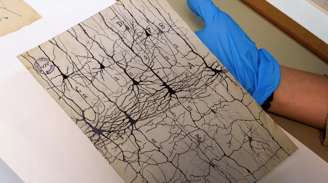 ¿Aberrante o necesario?