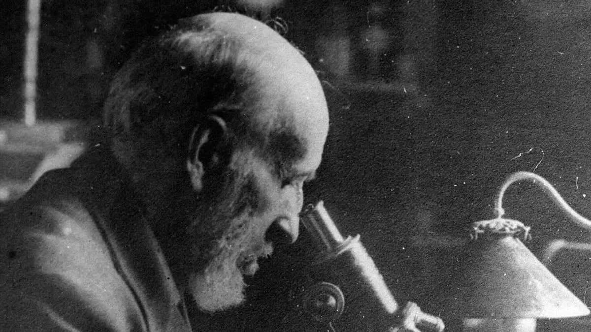 El mejor de la historia