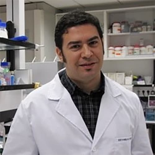 Estanislao Nistal Villán - Universidad CEU San Pablo