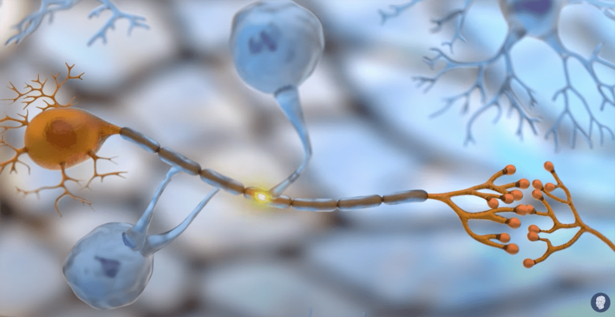 Investigación en esclerosis múltiple
