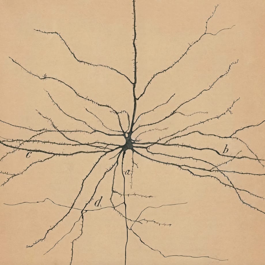 La IA en el año 6000