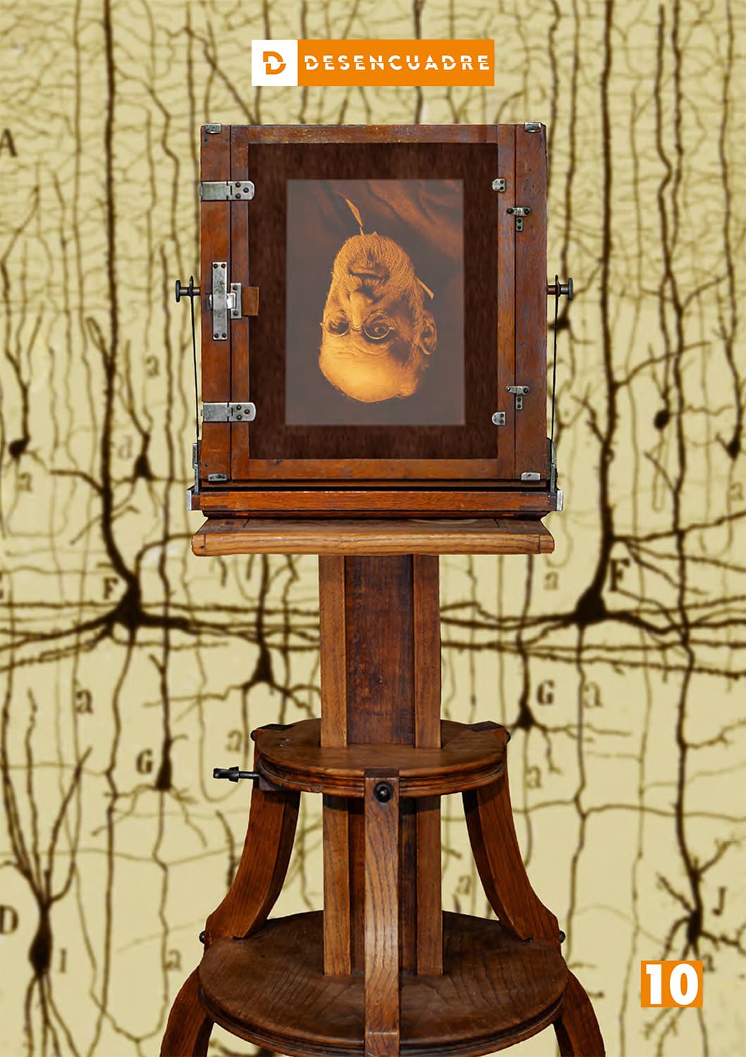 La Luz como Sinapsis