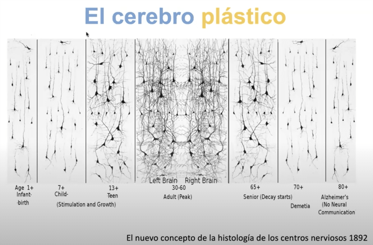 Cajal y los Recuerdos