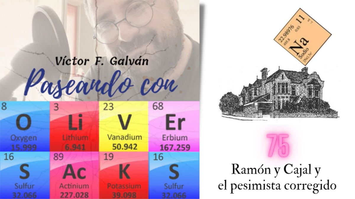 Ramón y Cajal y el pesimista corregido