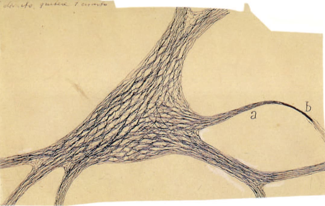 Ramón y Cajal y la neurociencia del siglo XXI