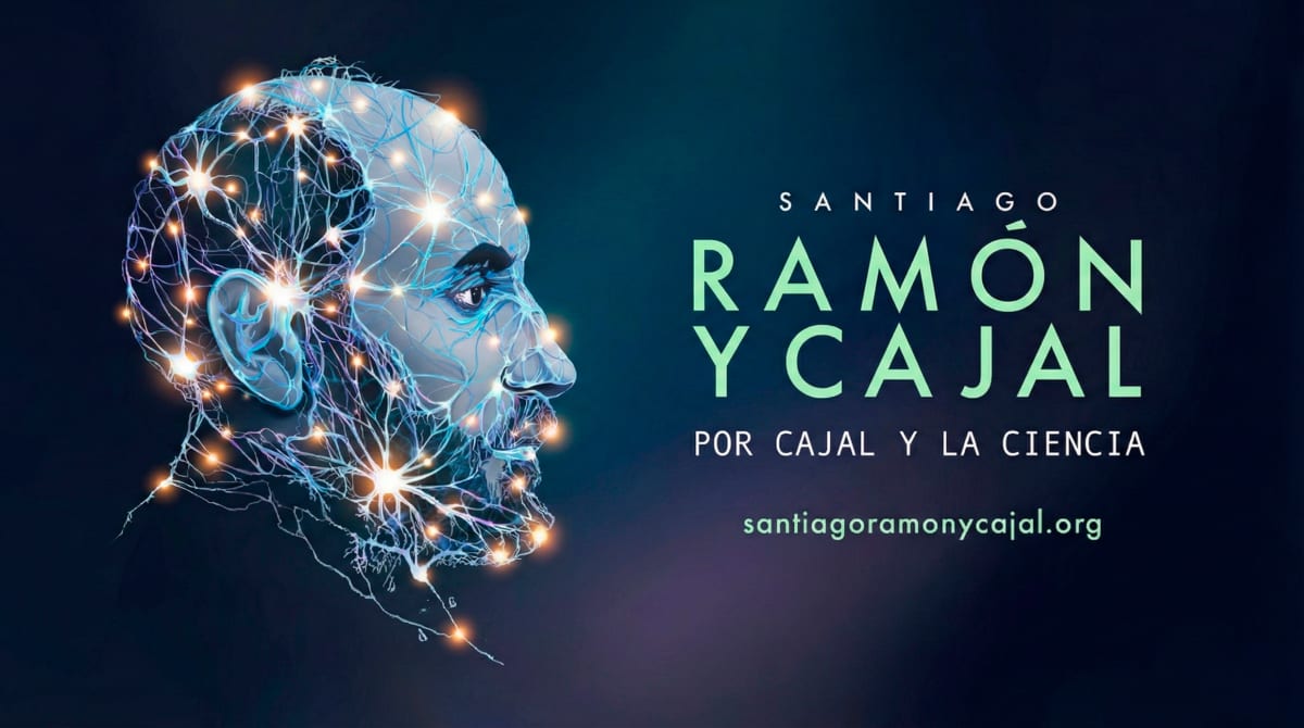 Redes de luz y afecto