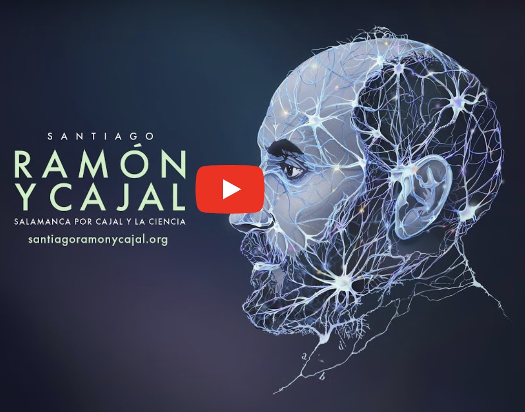 Seguir la jornada por YouTube