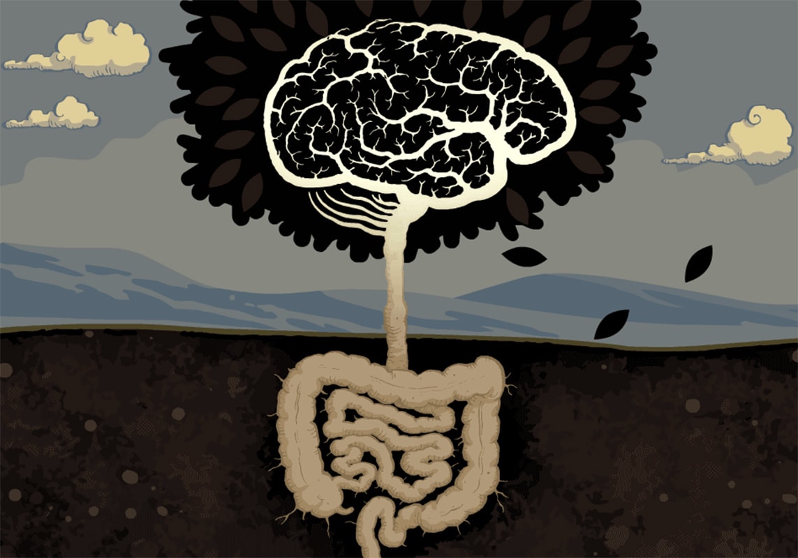 Un Atlas panorámico del Microbioma Humano