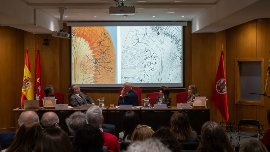 A panel discussion taking place in a conference room, featuring four speakers seated at a table with glass water pitchers and name plates. Behind them, a screen displays two contrasting tree diagrams, one colorful and the other monochrome, while flags are visible in the background.