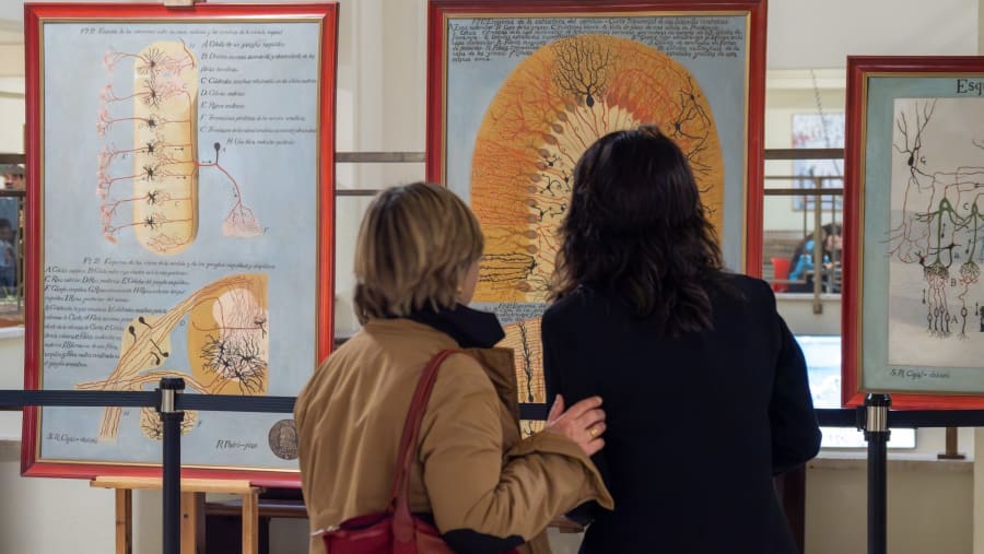 Dos mujeres observando ilustraciones científicas enmarcadas sobre el sistema nervioso en una exposición.