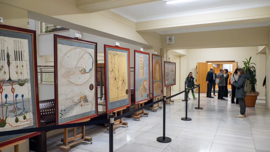 A corridor displaying framed historical scientific illustrations on easels, with visitors engaged in conversation and taking photos.