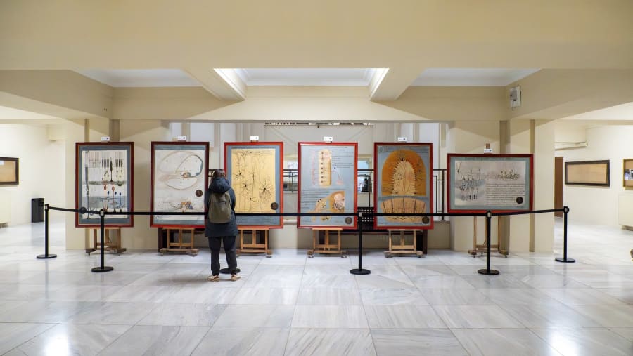 A person standing in front of art panels displayed in a museum, featuring intricate scientific illustrations and diagrams, with a light-colored interior and marble flooring.