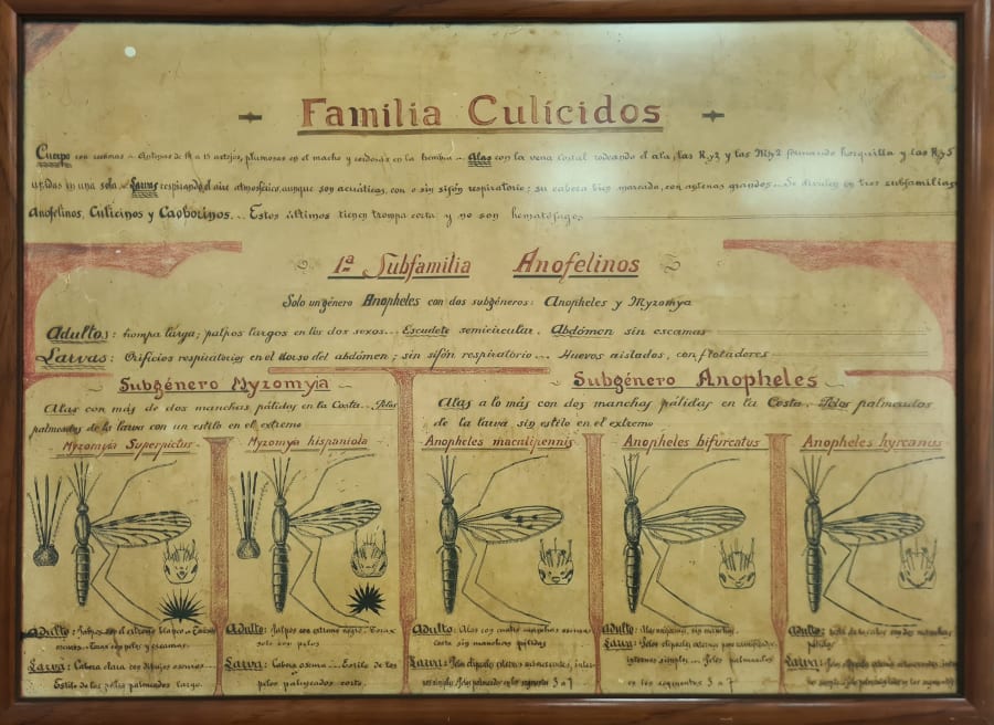 Instituto Antipalúdico de Navalmoral de la Mata