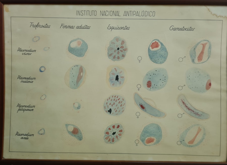 Instituto Antipalúdico de Navalmoral de la Mata