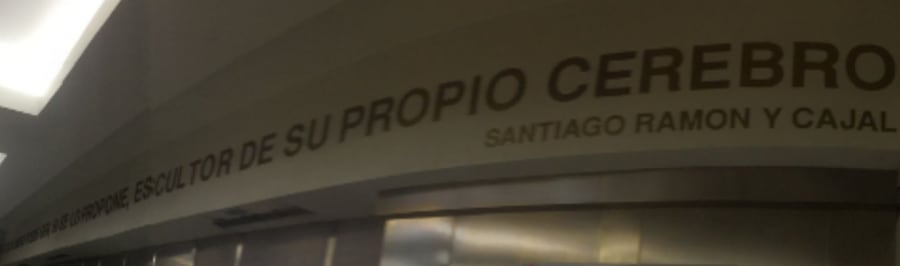 Santiago Ramón y Cajal