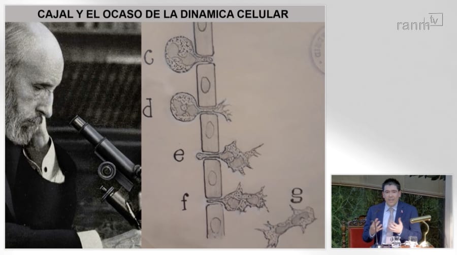 Texturas del microambiente tumoral: José Javier Bravo Cordero