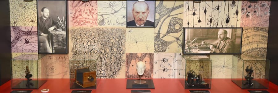 Ramon y Cajal Museo vitrinas