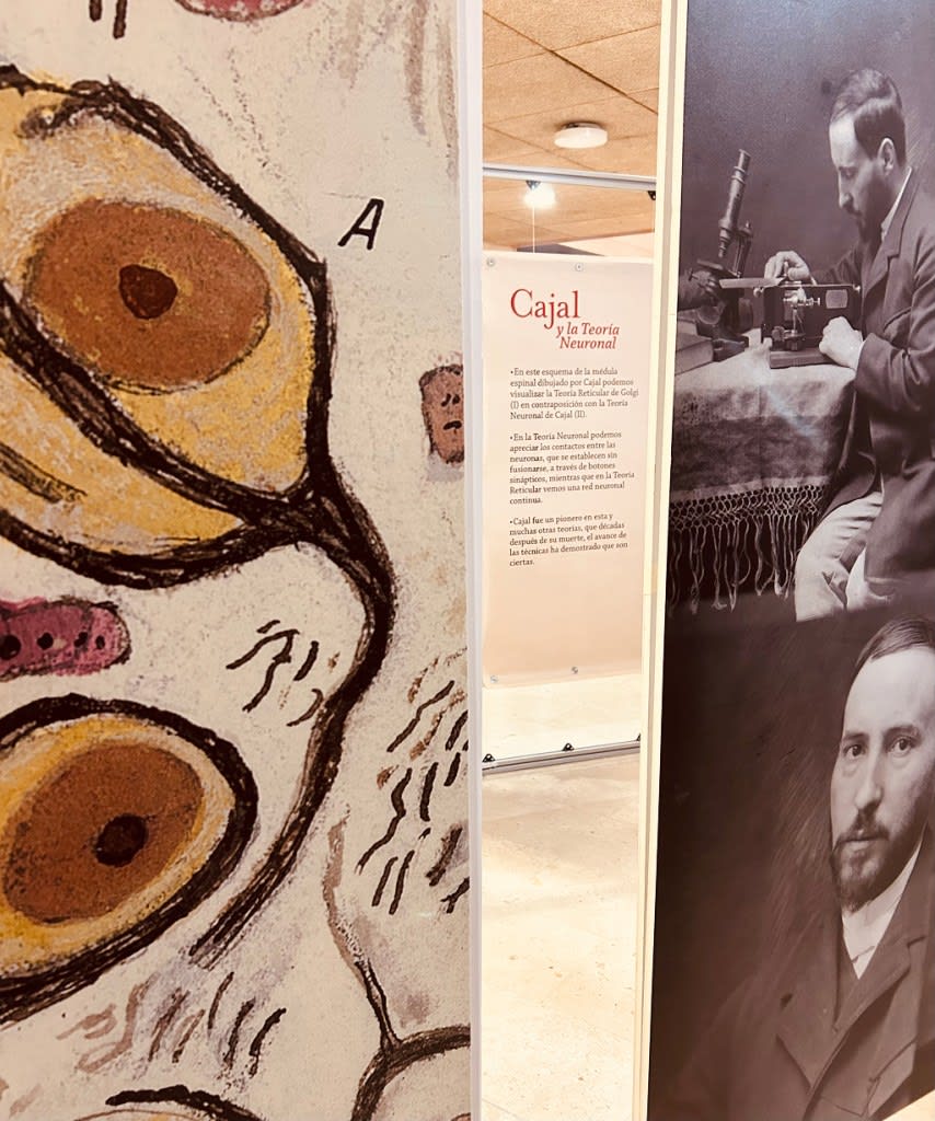 Paneles de la exposicion Cajal Ciencia y Arte en el cafrs