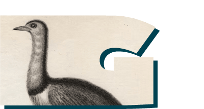 Félix de Azara
Jorge Alvar Ezquerra
Académico de número de la Real Academia Nacional de Medicina de España