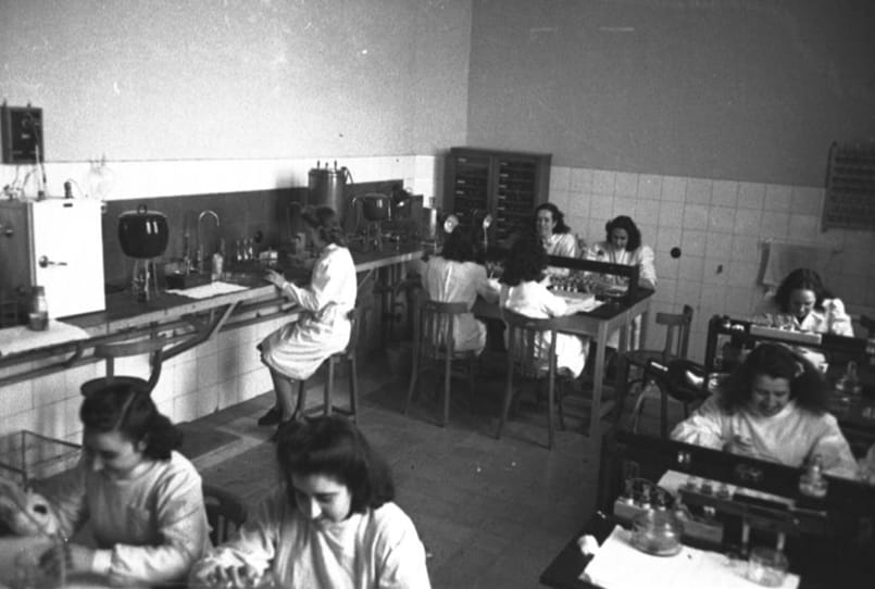 Mujeres trabajando en el laboratorio de preparación de muestras del Instituto Cajal.
Comunidad de Madrid-Archivo Regional de la Comunidad de Madrid.
ES.28079.ARCM//0131575/0001 _29.