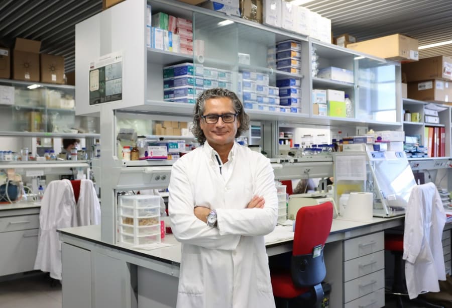 Juan Pedro Bolaños, catedrático de Bioquímica y Biología Molecular de la Universidad de Salamanca en su laboratorio del IBFG (USAL-CSIC)