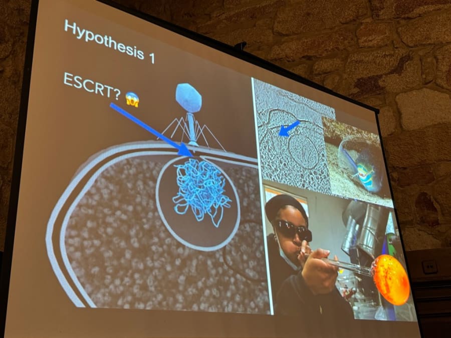 Presentación en pantalla que presenta la hipótesis 1 sobre un proceso biológico, con gráficos informáticos que ilustran estructuras moleculares y una imagen de una persona trabajando con vidrio.