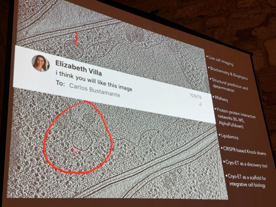 Presentación en una pantalla que muestra una imagen de microscopía, con anotaciones sobre técnicas como imagen en vivo, bioquímica, y determinación estructural. Se incluye un comentario de Elizabeth Villa dirigido a Carlos Bustamante.