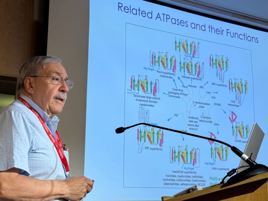 Un profesor presenta un gráfico sobre ATPasas relacionadas y sus funciones en un aula durante un curso de biofísica.