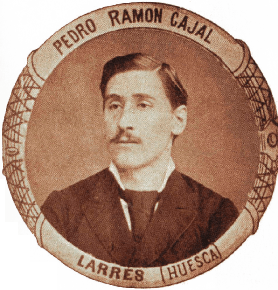 Dr. Pedro Ramón y Cajal