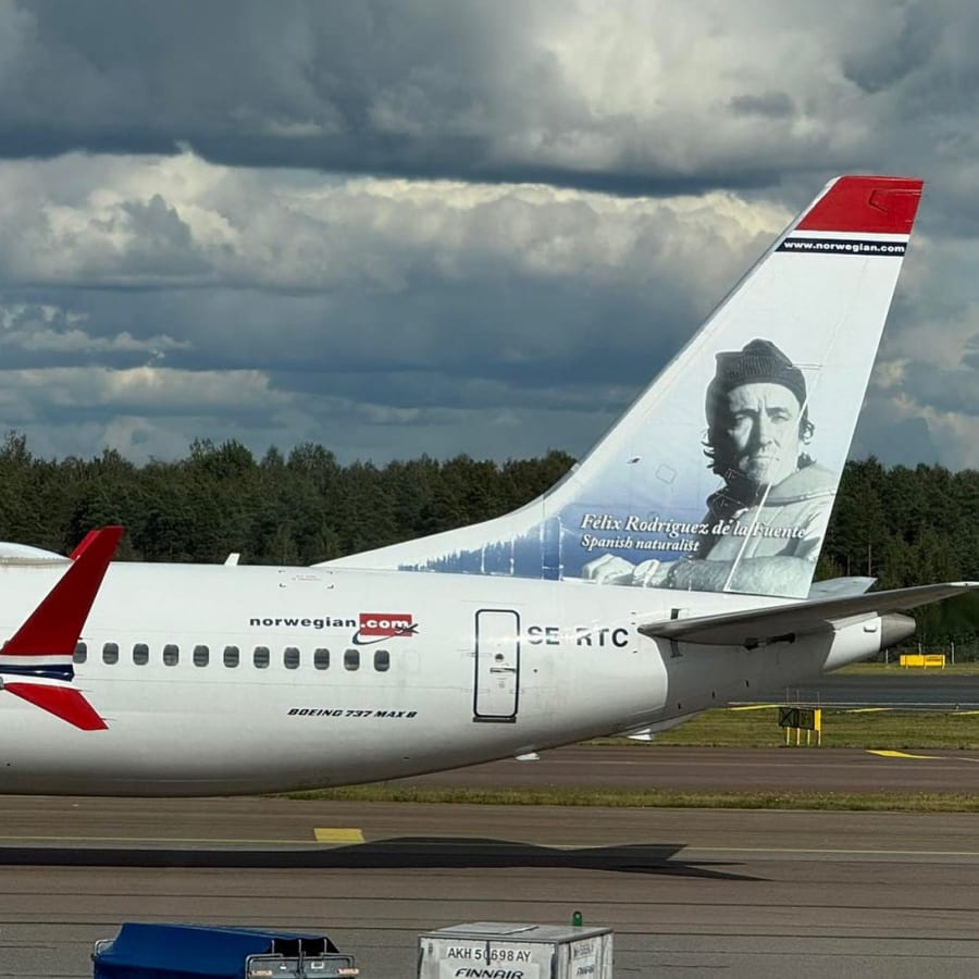 Un avión Boeing 737 MAX 8 de Norwegian Air Shuttle con el retrato de Félix Rodríguez de la Fuente, naturalista español, en la cola.