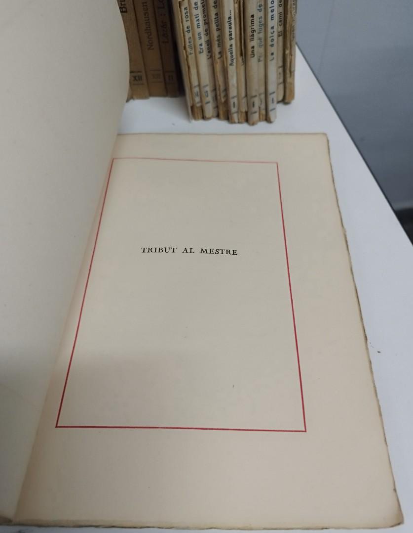 Página de un libro abierta que dice 