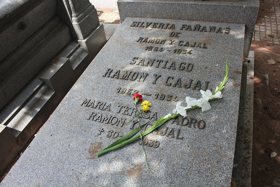 Tumba de Santiago Ramón y Cajal y su esposa Silveria Fañanás en el Cementerio de La Almudena, con flores sobre la lápida.