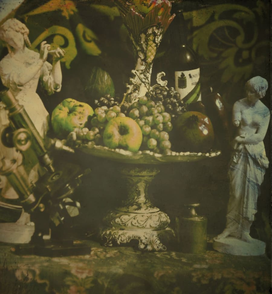 Placa 1800-001. Bodegón coloreado con el Metodo Interferencial de Lipmann.