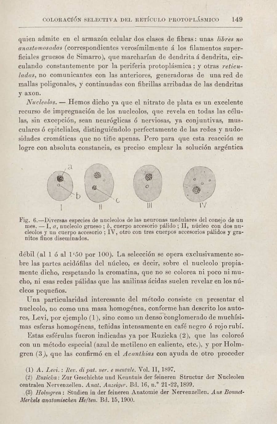 Página de un artículo antiguo que describe un método de coloración del retículo protoplasmático en neuronas, con ilustraciones de diferentes tipos de nucleolos y cuerpos accesorios en las células. Incluye texto explicativo en español sobre las características de las células y el uso de nitrato de plata en la observación microscópica.